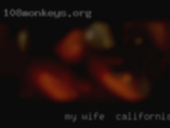-   Animals, especially my wife in California dogs.
