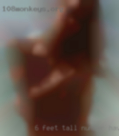 6' feet tall number have sex white male 175 lbs.