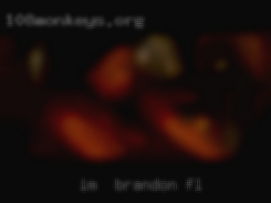 Im Brandon, FL  a chill laid back guy.