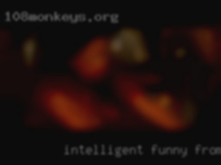 Intelligent, funny and from Bradenton, FL discreet.